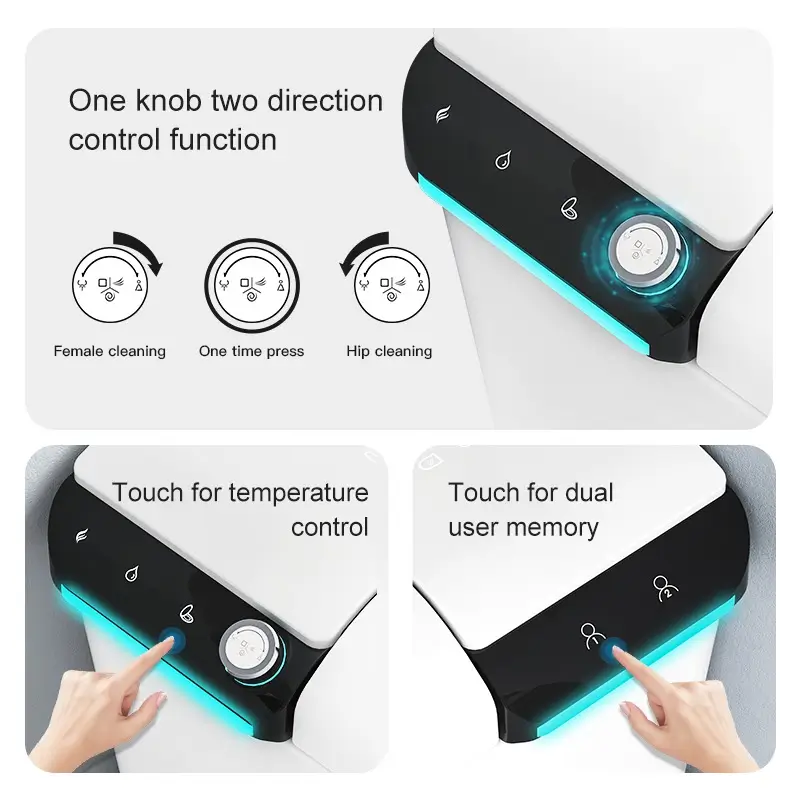 V6 Luxury Smart Toilet