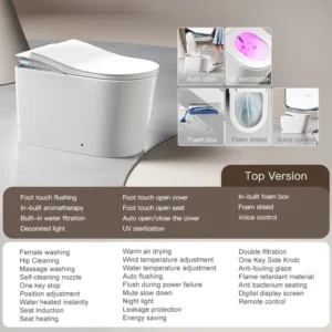 V6 Luxury Smart Toilet